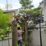 ZUAR FAIZA ENTERPRISE Image (16)