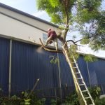 ZUAR FAIZA ENTERPRISE Image (4)